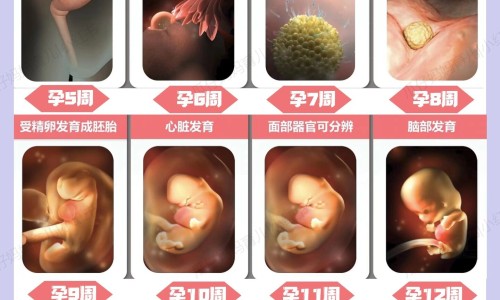 哺乳期妈妈喝什么瘦身网 - 网站提供哺乳期宝妈喝什么饮料比较好小常识、哺乳期妈妈喝冰饮料宝宝会拉稀吗